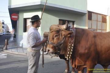 Romerías del Carmen en Marpequeña, Medianía y Las Huesas (Foto TF y TA)